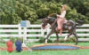 (c) Breyer Animal Creations