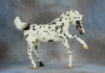 Black Leopard Appaloosa (mold #727)