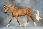 Hunter Mare