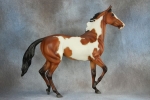 Wild Bay Frame Overo Lonesome Glory