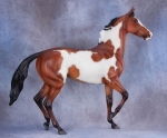 Wild Bay Frame Overo Lonesome Glory