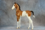 Buckskin Splash Pinto Mare & Foal Lipizzaner Foal