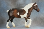Silver Bay Tobiano Roy