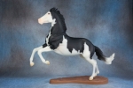 Black Splash Pinto Gaming Stock Horse