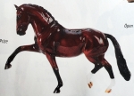 Salvino