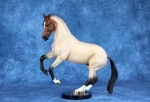 Dapple Bay Roan Valegro