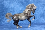 Glossy Silver Dapple Connemara Mare