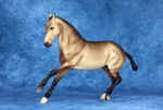 Factory Customized Dapple Sooty Buckskin Criollo