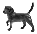 Mobile Rescue & Care Clinic