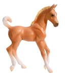 Mobile Rescue & Care Clinic