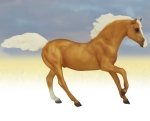 Palomino Andalusian