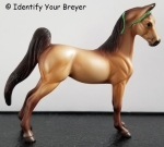 Mystery Horse Surprise