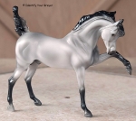 Mystery Horse Surprise