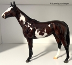 Surprise! Girls Run The World