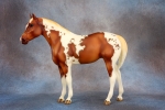 Chestnut Tobiano with Cat Tracks