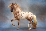 Chestnut Semi Leopard Appaloosa