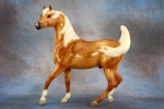 Glossy Dapple Palomino